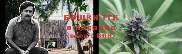 ПСИЛОЦИБИНОВЫЕ ГРИБЫ Алексин