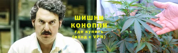 ПСИЛОЦИБИНОВЫЕ ГРИБЫ Алексин
