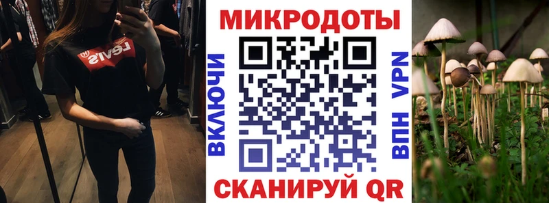 сколько стоит  Королёв  Псилоцибиновые грибы ЛСД 